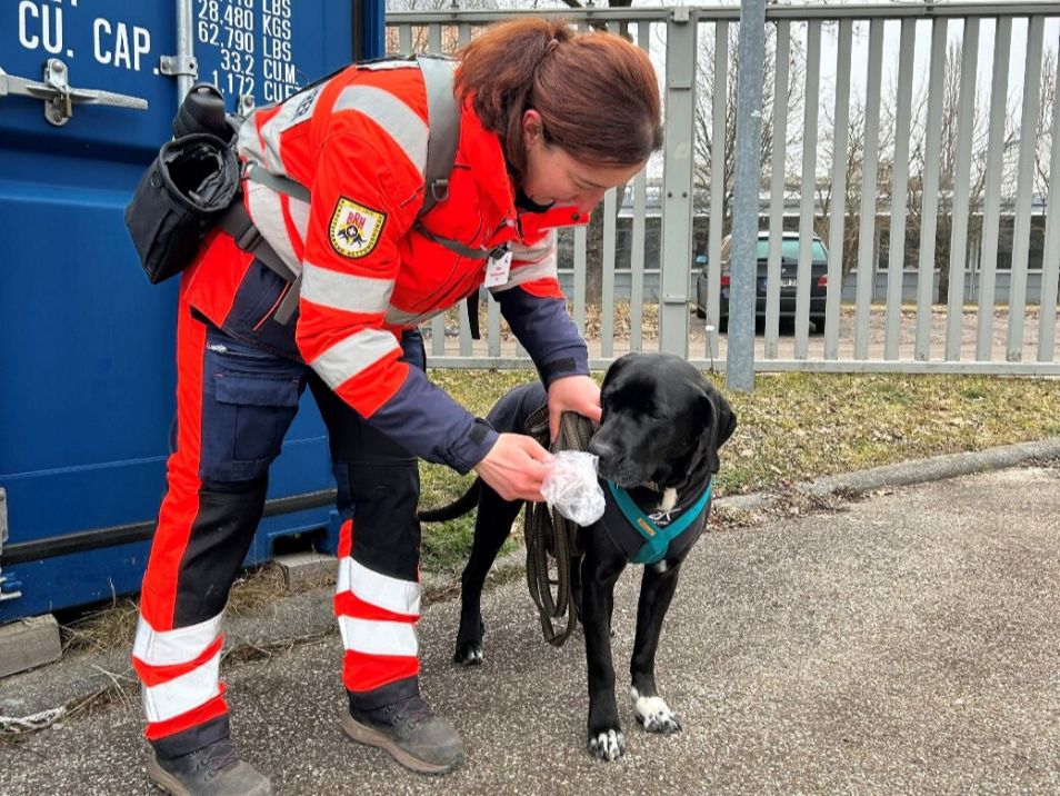 B861f82d-b7ef-4bdf-a695-ae7a2a2b4b24