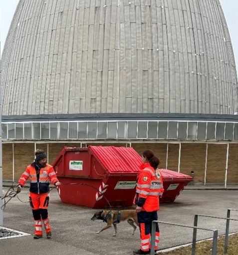 Bhs_Rettungshunde_Pic3_2