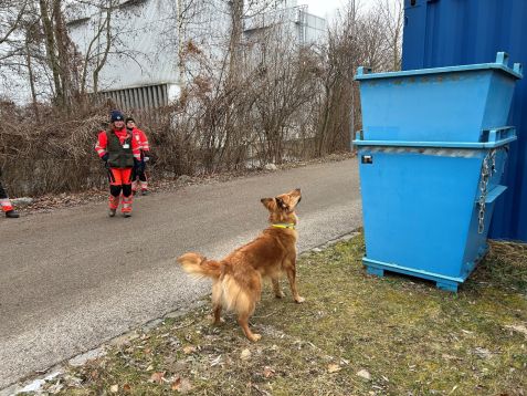 Bhs_Rettungshunde_Pic5