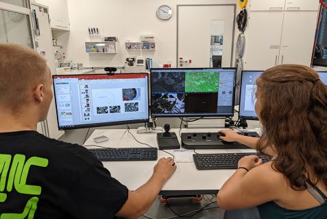 Konzentriert werten Marlene und Andriy die Daten vom Elektronenmikroskop aus und fassen ihre Ergebnisse in einer Präsentation zusammen. © FRM II / TUM