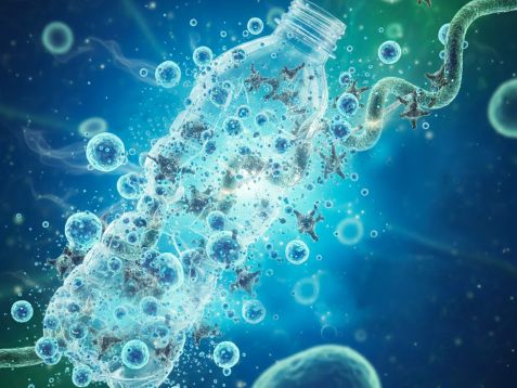 20260121 Enzyme fressen Kunststoff 4zu3