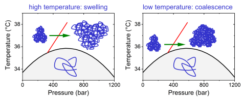 Frmnews fig1 r