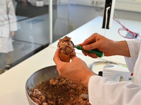 NBH_Schokoladeneis