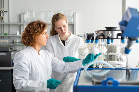 LinsenProteine_LabPic