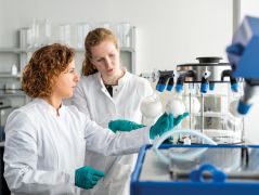LinsenProteine Lab4 3 - bearbeitet