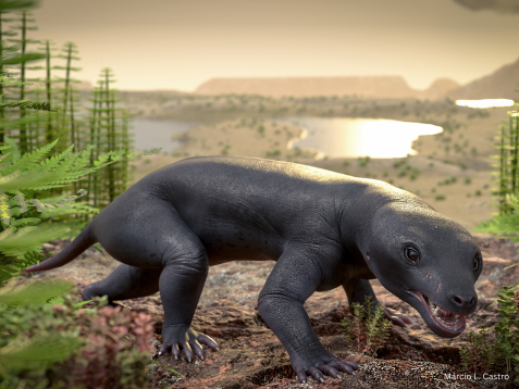 Massetognathus_Márcio L. Castro