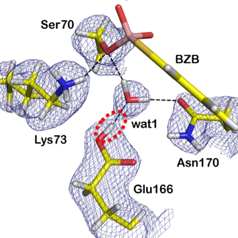  Neutronenstrukturanalyse der beta-Lactamase