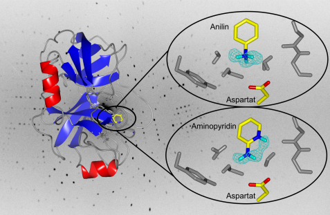 Diffraktionsbild des Trypsin-Anilin-Komplexes