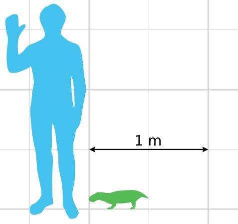 Dictodon-scale