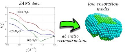 Aquaporin-0