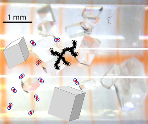 Crystallation of lysozyme