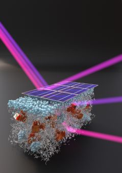 Polymer Solarcell