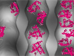 Proteine in Nanoporen_4_3