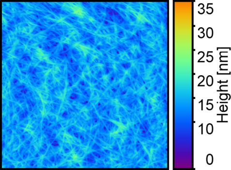 Atomic force microscope