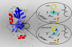 Diffraktionsbild des Trypsin-Anilin-Komplexes