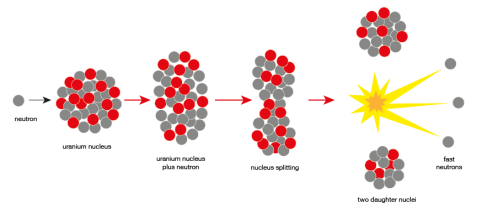 Fission of Uranium-235