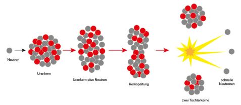 Kernspaltung von Uran-235