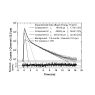 Positron lifetime spectrum