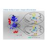 BIODIFF inhibitor binding