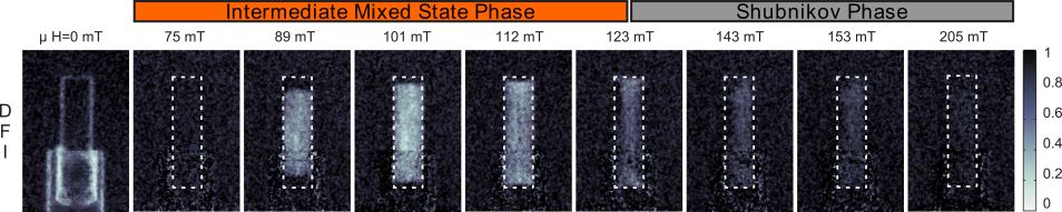 fig2: Morphology of the intermediate mixed state in a bulk niobium type-II superconductor