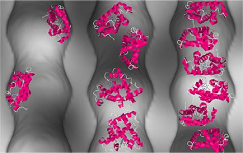 Proteins in nanopores