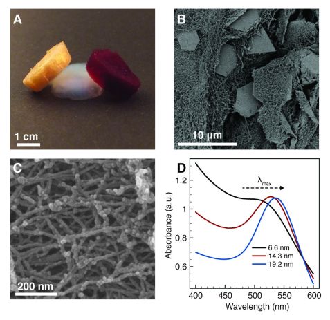 fig2: Contrast matching SANS reveals structural properties in protein-gold hybrid materials