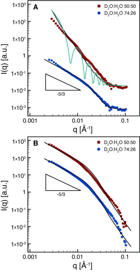 fig3: Contrast matching SANS reveals structural properties in protein-gold hybrid materials