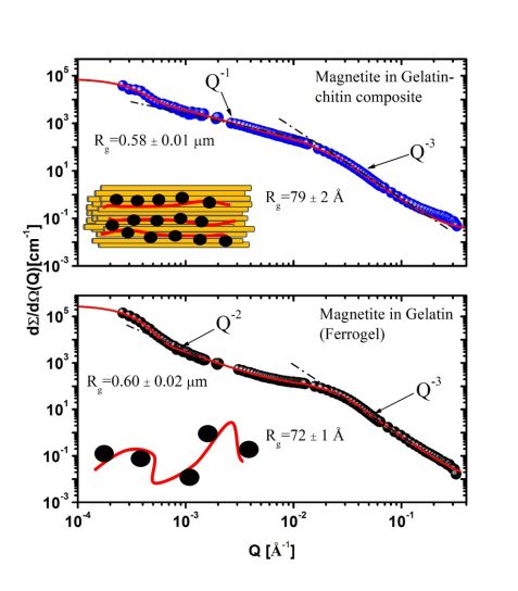 ig3: Biomimetic multifunctional magnetite/gel  composites