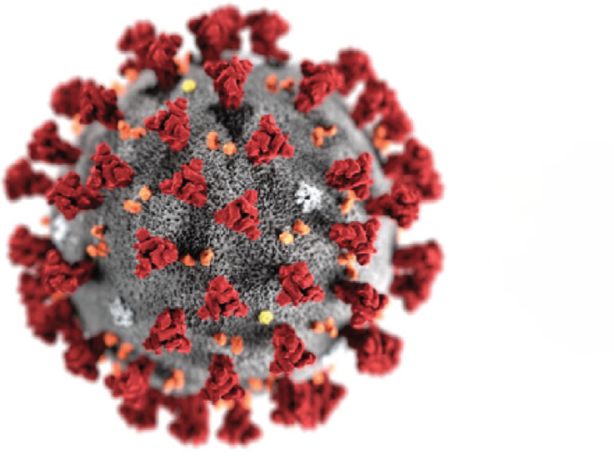 Rapid access for research on coronavirus SARS-CoV-2