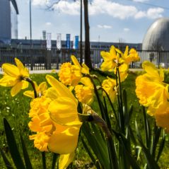 Der Frühling ist da!